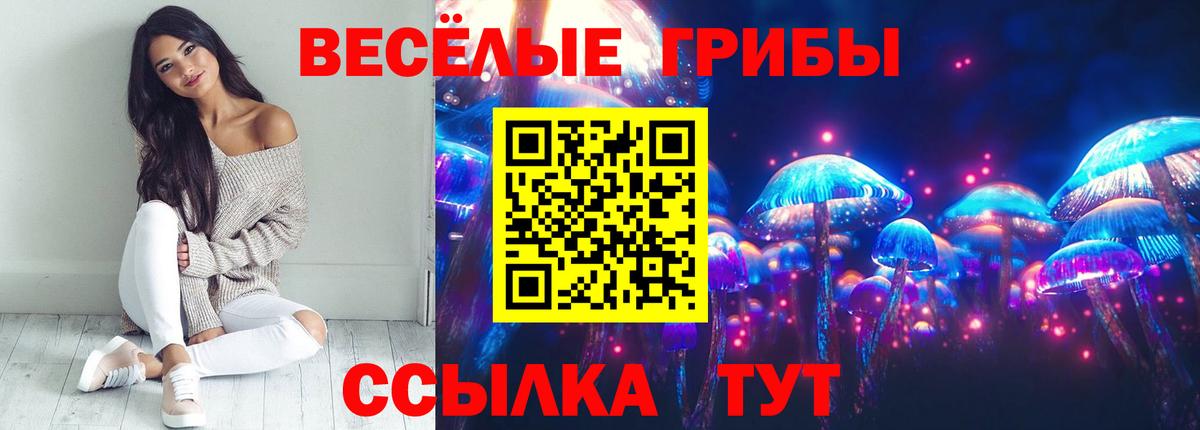 Самара  Галлюциногенные грибы Psilocybe  Вход с VPN  купить  сайты  Псилоцибиновые грибы MAGIC MUSHROOMS 